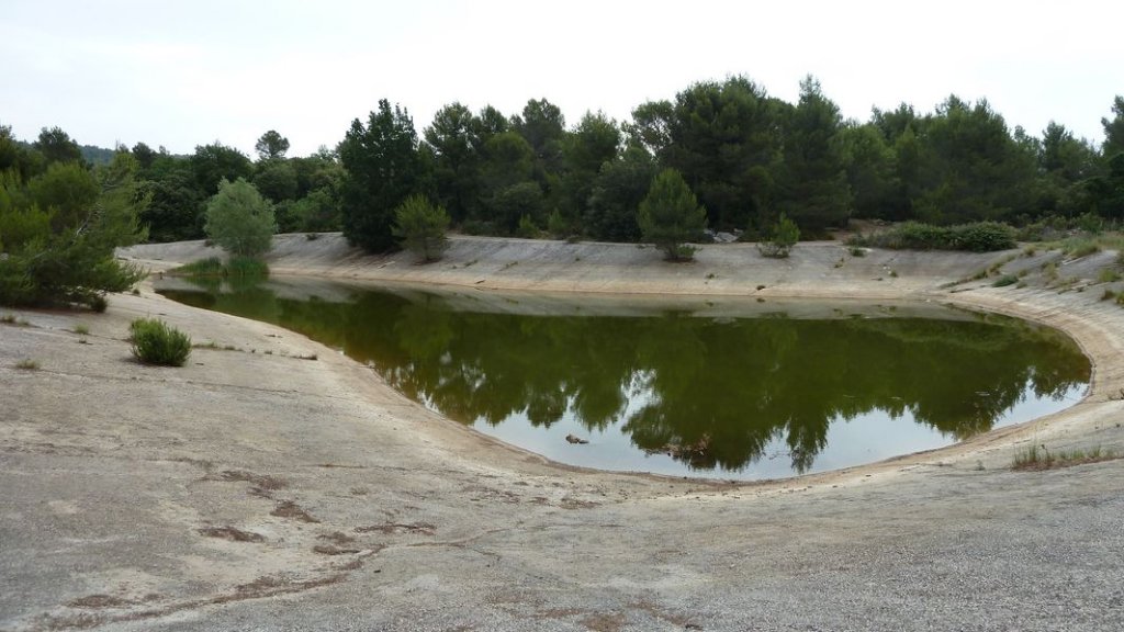 4_freres_juillet_2012_020.jpg
