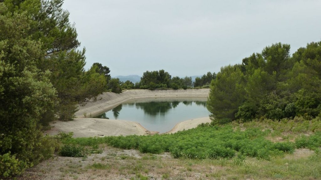 4_freres_juillet_2012_028.jpg