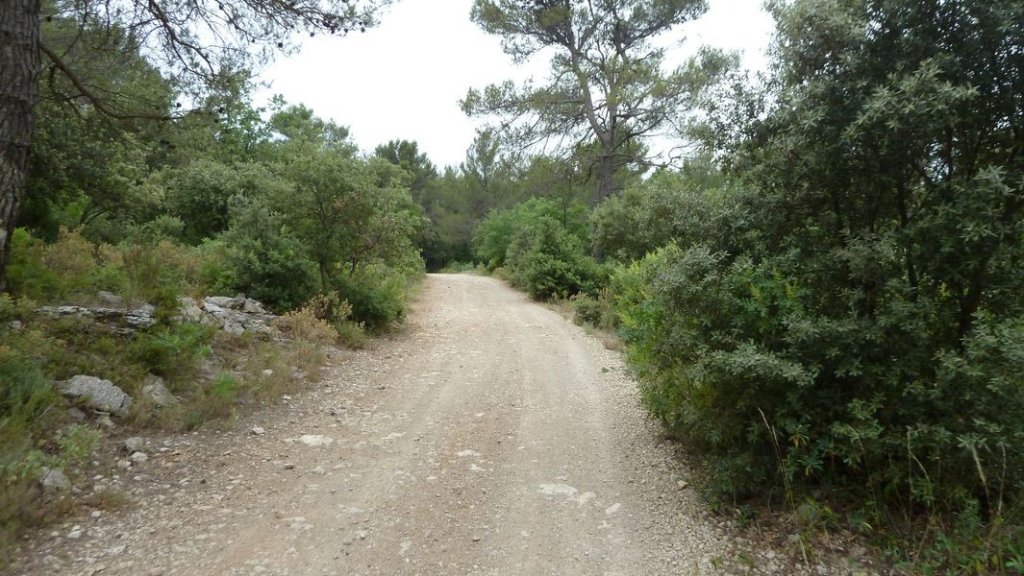 4_freres_juillet_2012_030.jpg