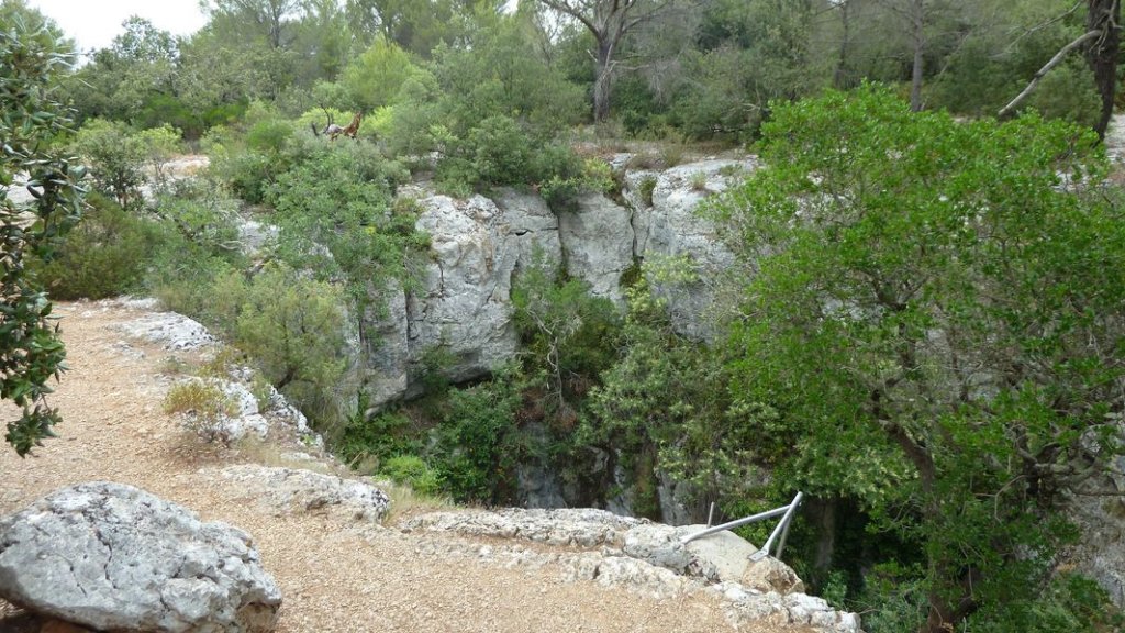 4_freres_juillet_2012_036.jpg