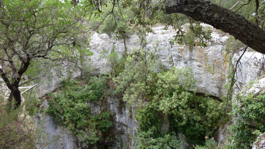 4_freres_juillet_2012_040.jpg