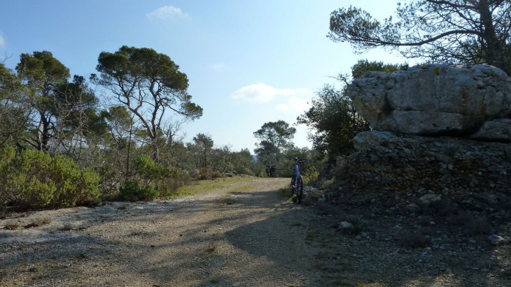 P1110133.JPG