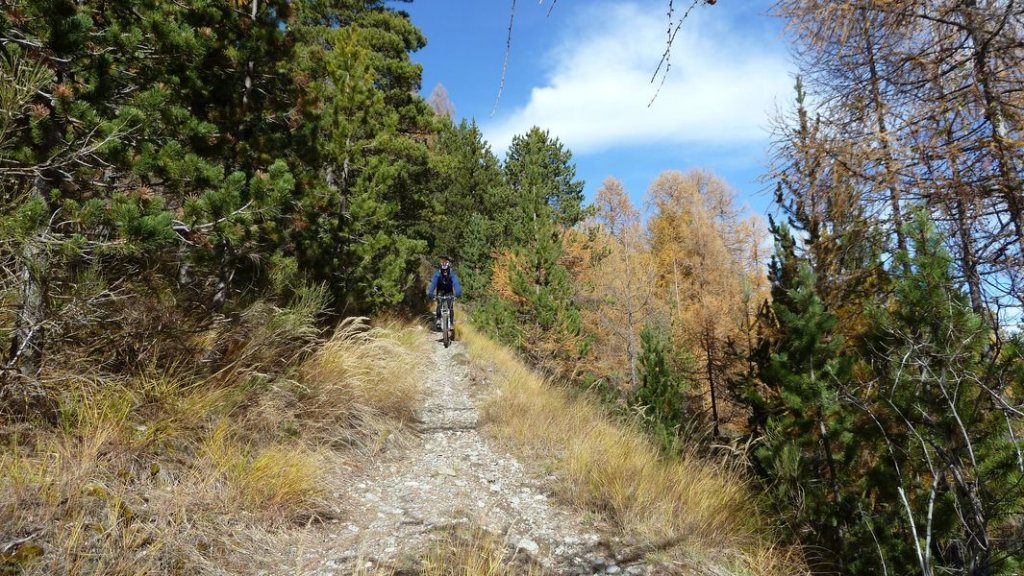 allos_colmars_nov_2012_070.jpg