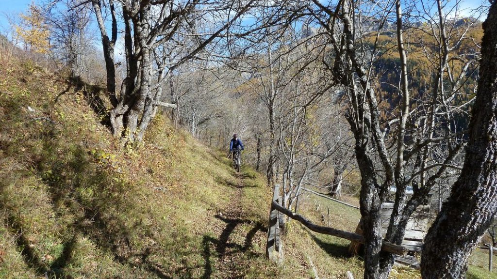 allos_colmars_nov_2012_078.jpg
