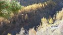 allos_colmars_nov_2012_036.jpg