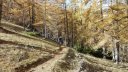 allos_colmars_nov_2012_048.jpg