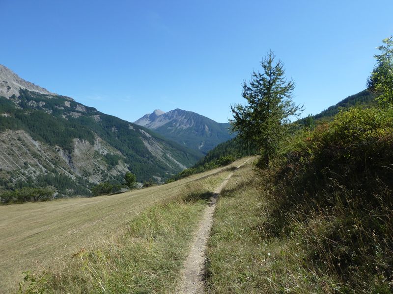 allos_colmars_2011_015.jpg