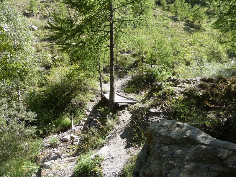 allos_colmars_2011_019.jpg