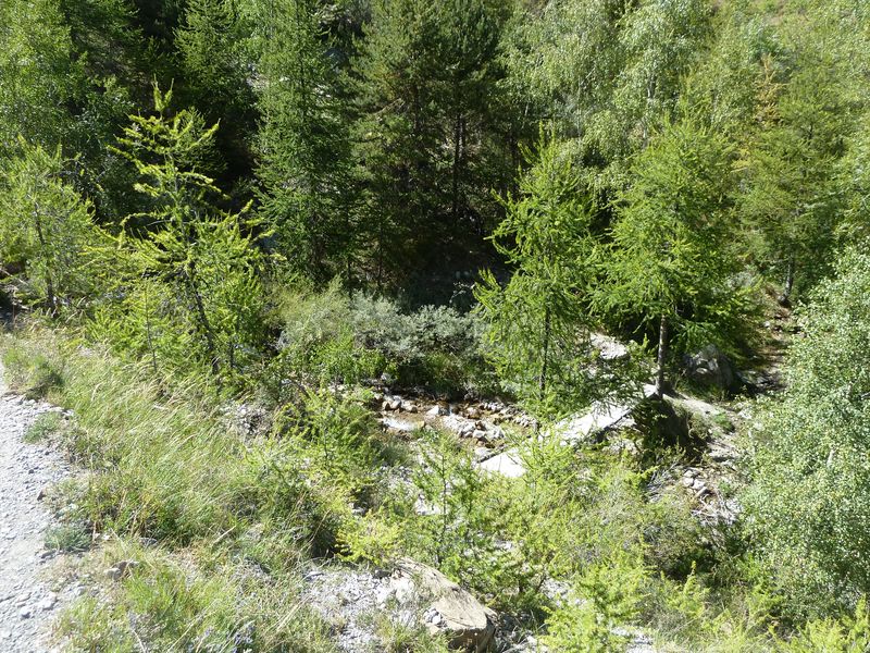 allos_colmars_2011_021.jpg