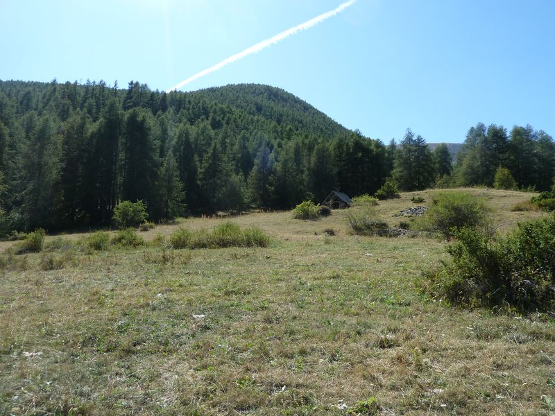 allos_colmars_2011_023.jpg