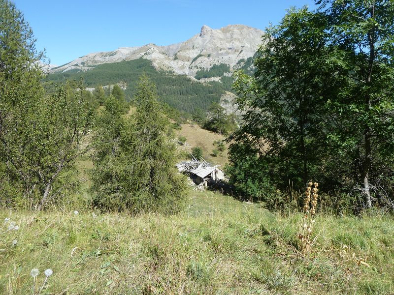 allos_colmars_2011_029.jpg