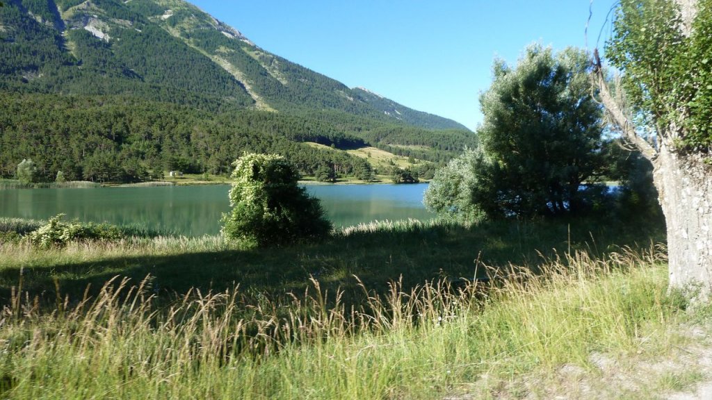 petit_cordoeil_juillet_2016_009.JPG