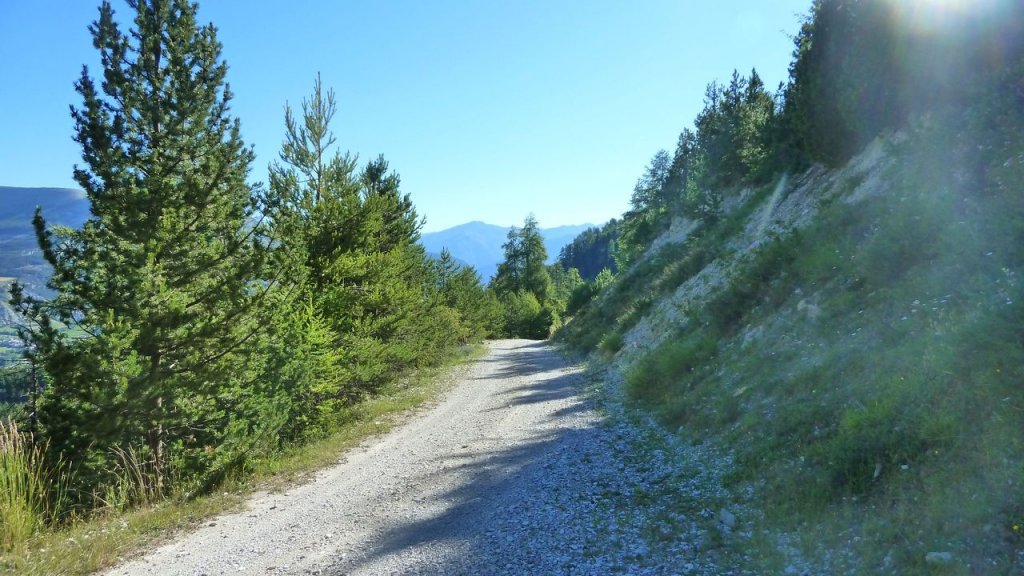 petit_cordoeil_juillet_2016_011.JPG