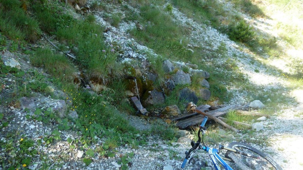 petit_cordoeil_juillet_2016_013.JPG