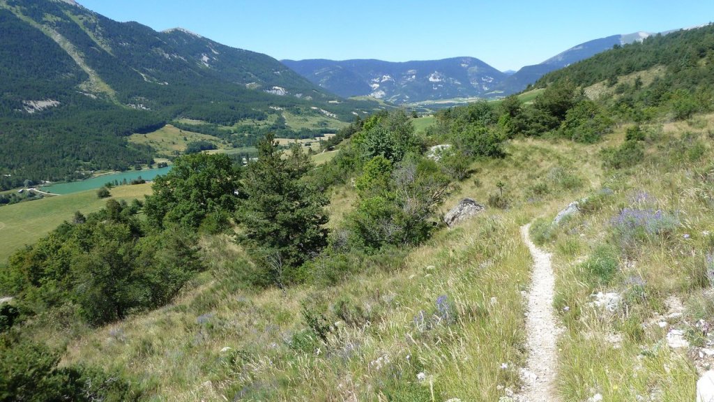 petit_cordoeil_juillet_2016_079.JPG