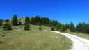 petit_cordoeil_juillet_2016_027.JPG