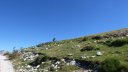 petit_cordoeil_juillet_2016_031.JPG