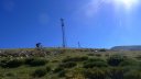 petit_cordoeil_juillet_2016_033.JPG