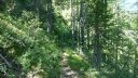 petit_cordoeil_juillet_2016_051.JPG