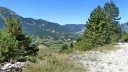 petit_cordoeil_juillet_2016_071.JPG