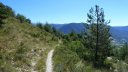 petit_cordoeil_juillet_2016_075.JPG