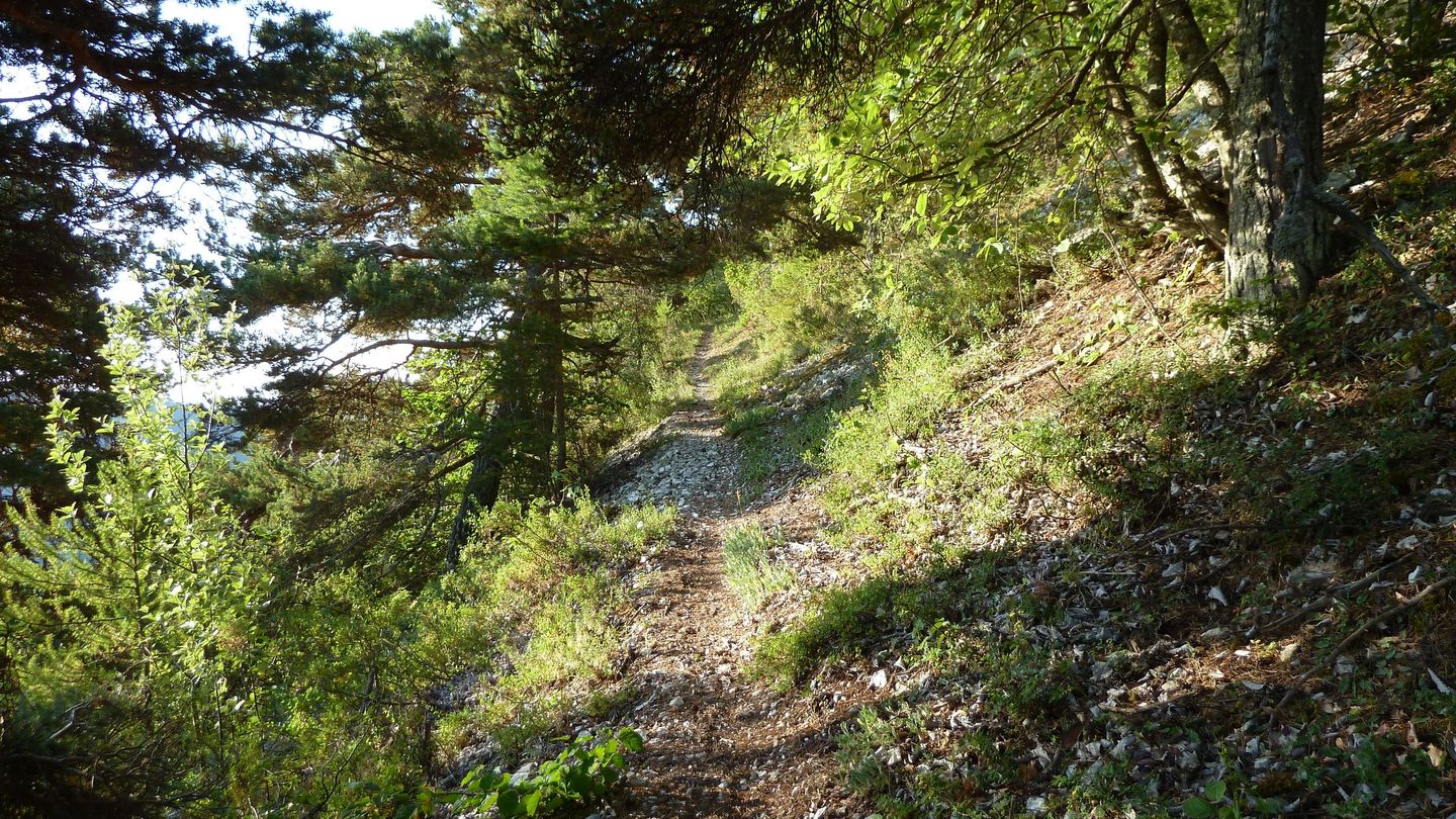 cordoeil_2017_037.JPG