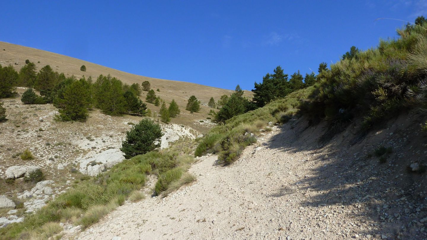 cordoeil_2017_076.JPG