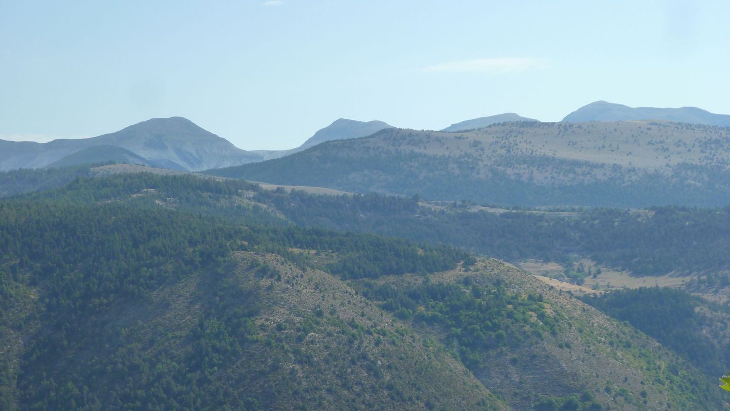 cordoeil_2017_115.JPG