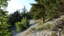 cordoeil_2017_040.JPG
