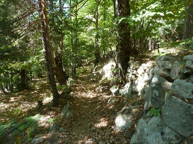 annot_argenton_2011_044.jpg
