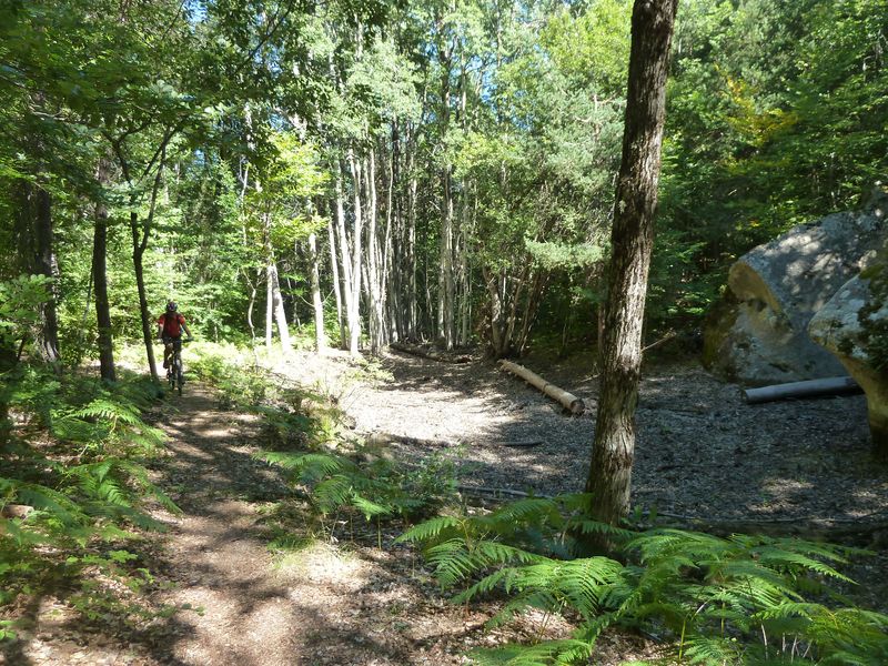 annot_argenton_2011_070.jpg