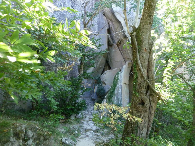 annot_argenton_2011_110.jpg