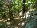 annot_argenton_2011_044.jpg