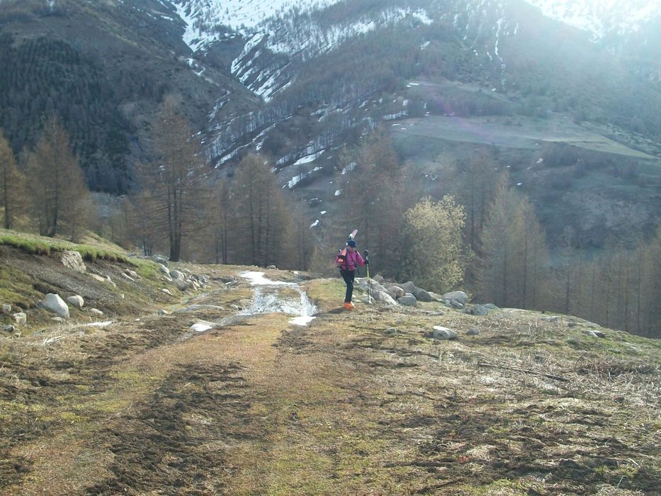 auriac_avril_2014_28.jpg