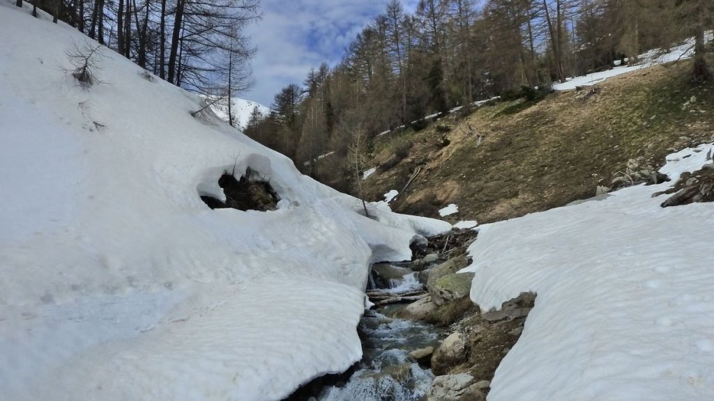 auriac_avril_2014_98.jpg
