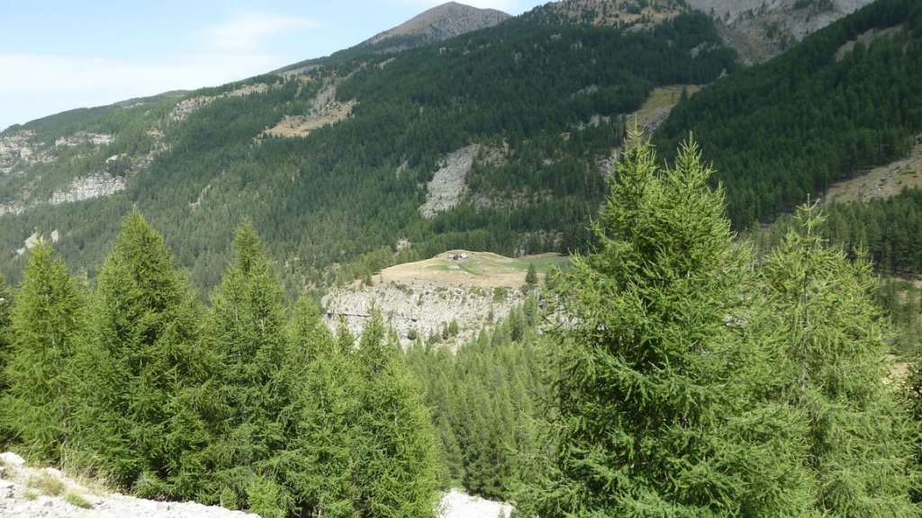 baisse_de_mourries_2012_150.jpg