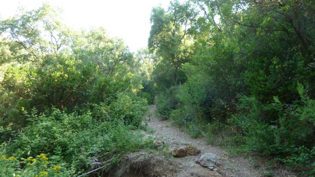 P1090500.JPG