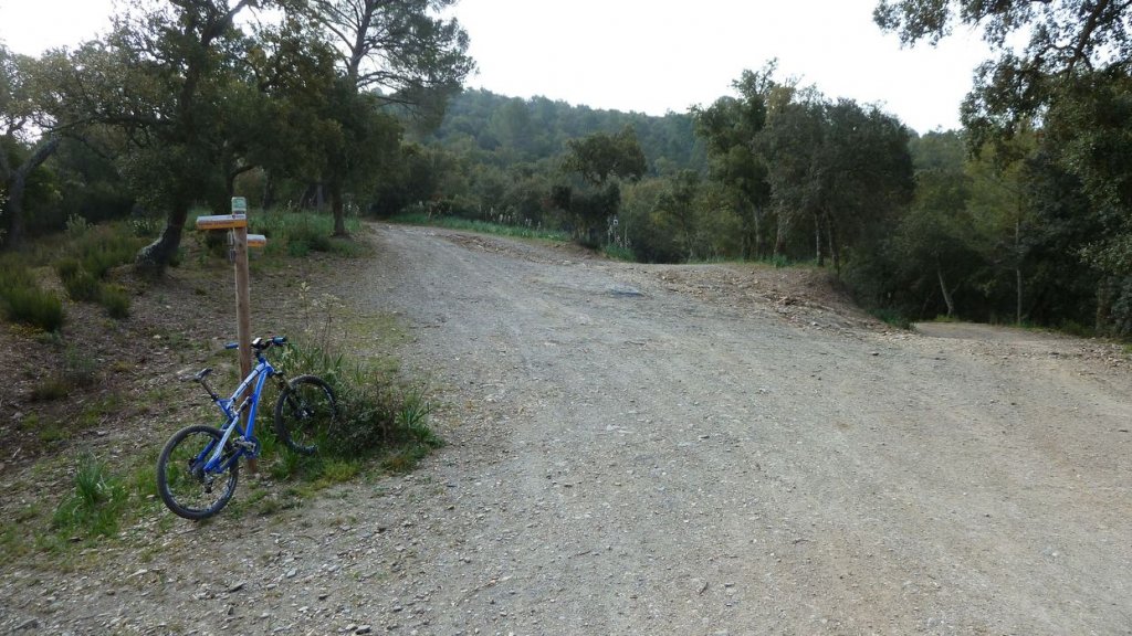 P1080892.JPG
