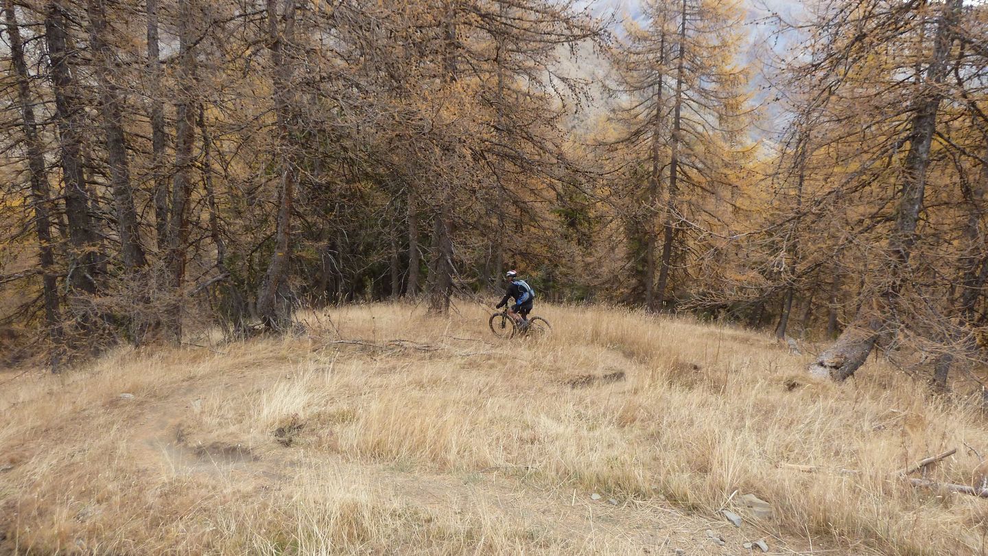 prenier_oct_2017_48.JPG