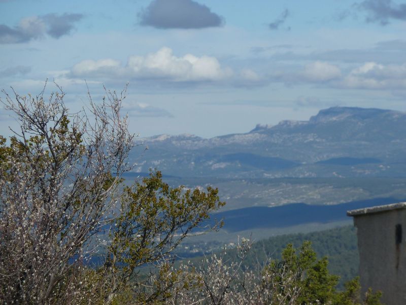 baou_avril_2012_008.jpg