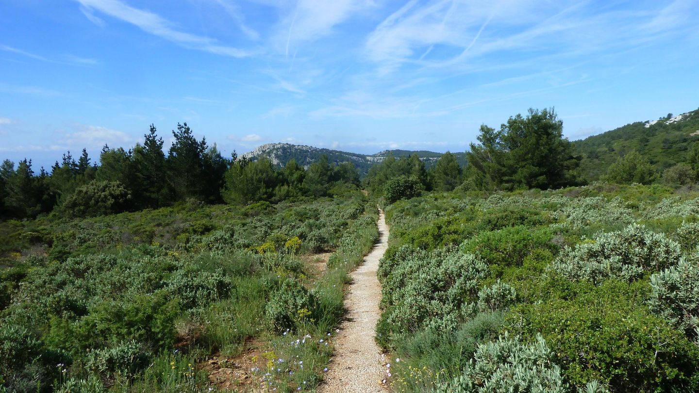 baou_caume_juin_047.JPG