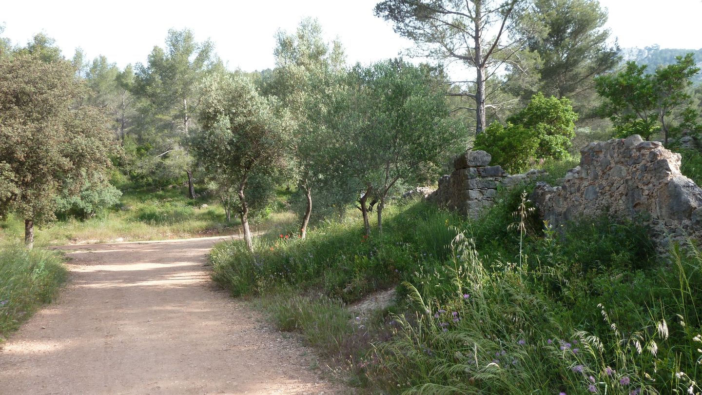 baou_croupatier_2014_07.JPG