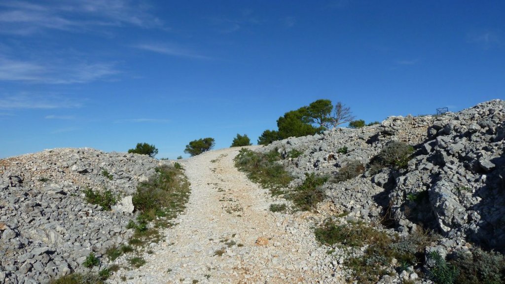 P1100831.JPG