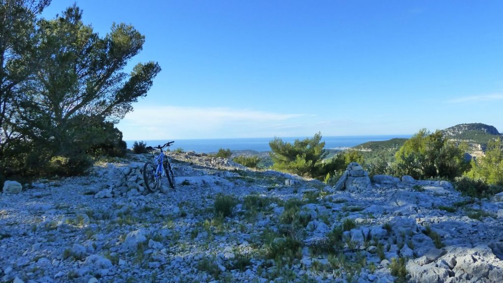 P1100845.JPG