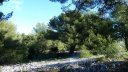 P1100843.JPG