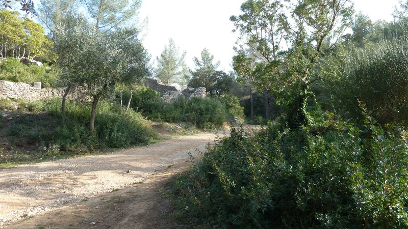 baou_sioublanc_janv_2012_004.jpg