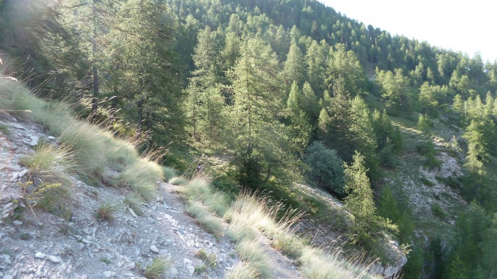 P1070754.JPG