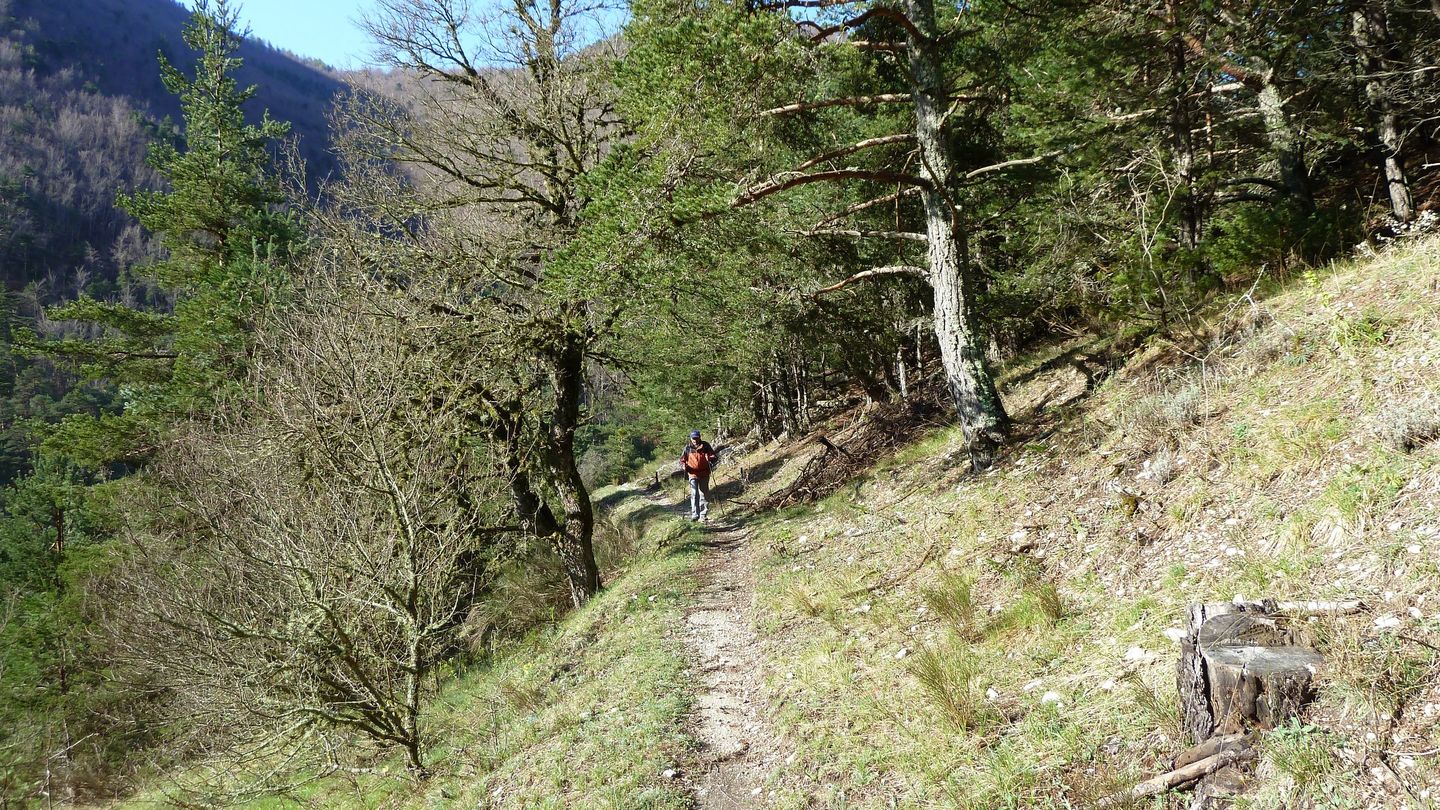 P1000441.JPG