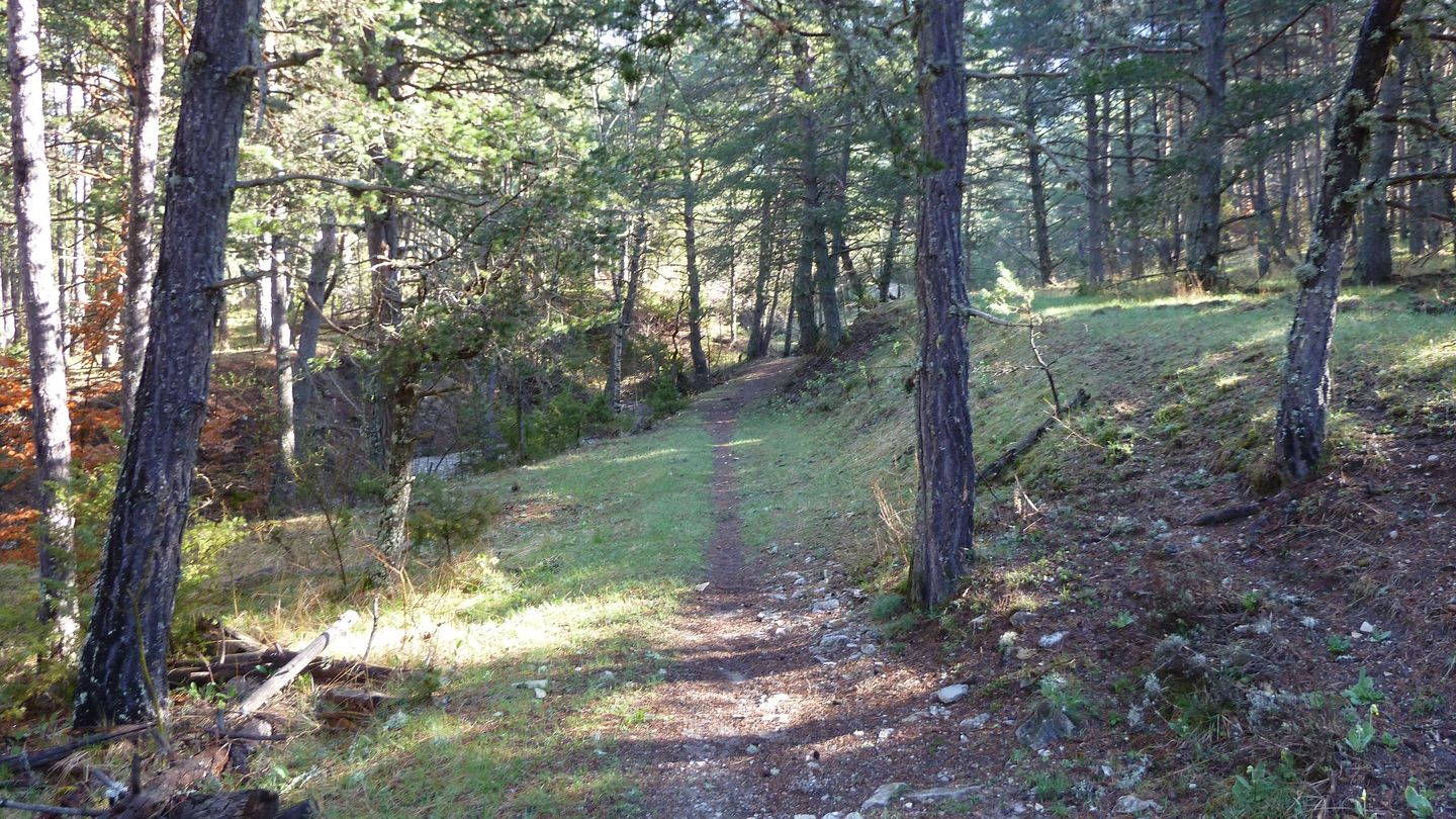 P1000442.JPG