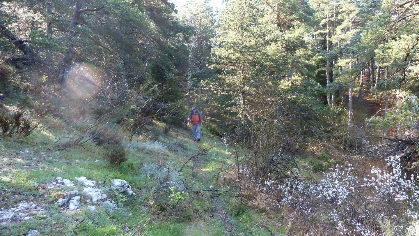 P1000450.JPG